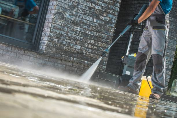 Best Animal Enclosure Cleaning  in Alliae, NC